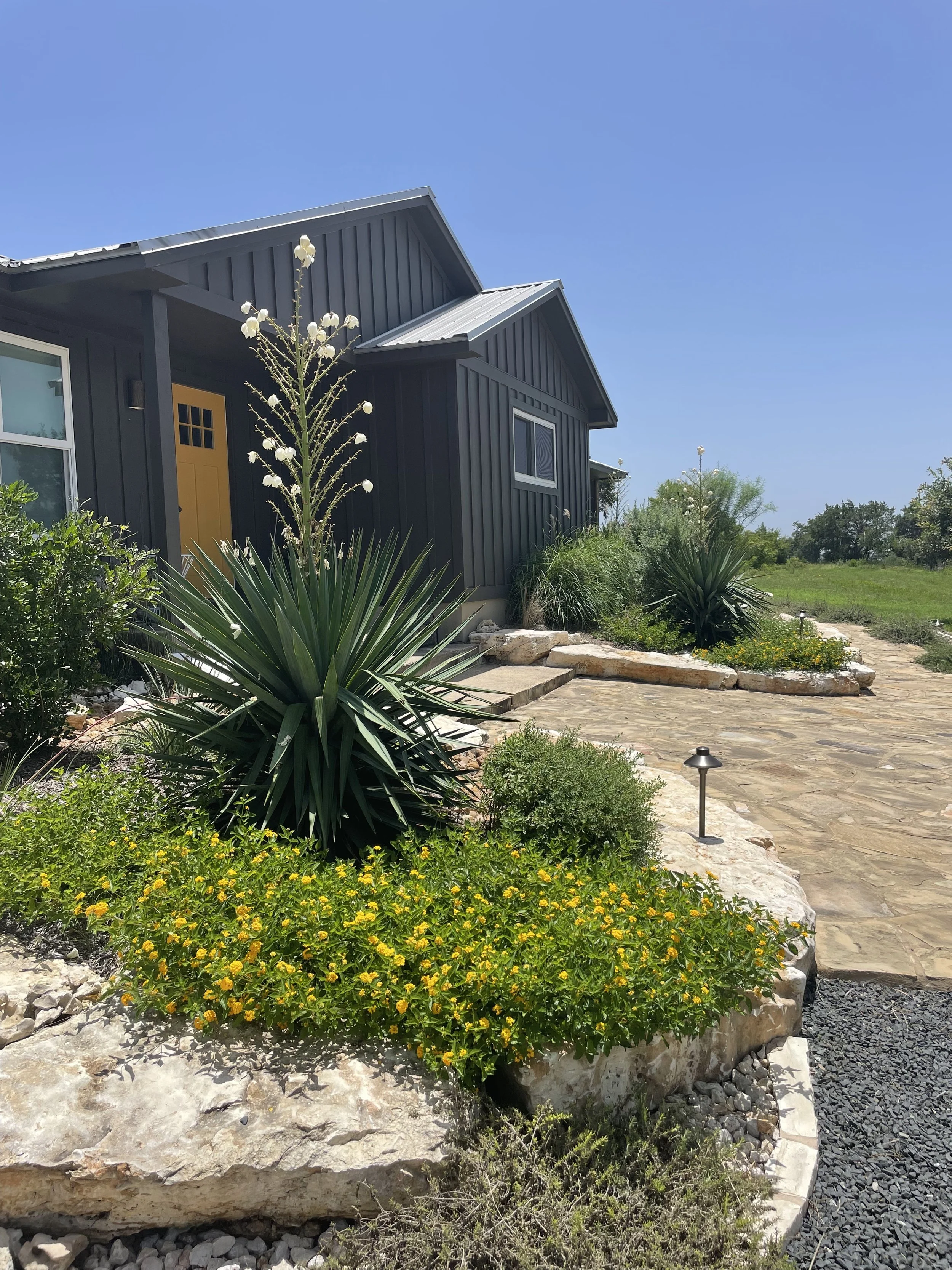 Designed front landscape at a modern Central Texas home